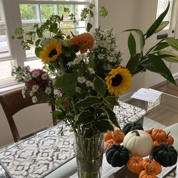 Toadflax Inc - Florists Near Me - Pittsburgh, Pennsylvania