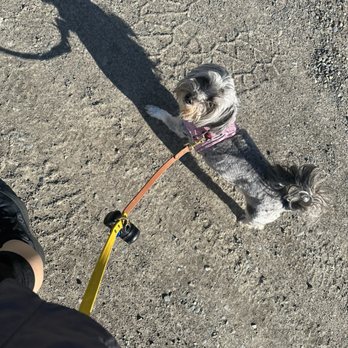 Foothills Trail - Walking Havanna 5/8/24 - Hiking Near Me - Orting, Washington