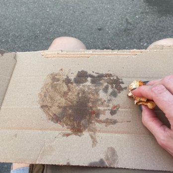 Sal's Pizza - We had to tear the damned box apart to use as plates - Pizza Near Me - Boston, Massachusetts Sal's Pizza - We had to tear the damned box apart to use as plates - Pizza Near Me - Boston, Massachusetts