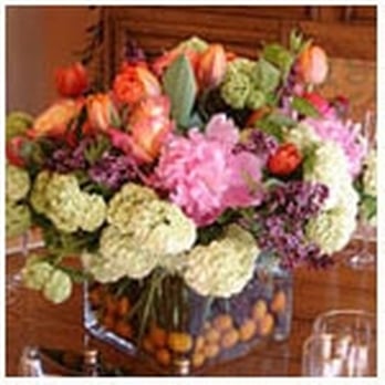 Tesoro - Florists Near Me - Napa, California