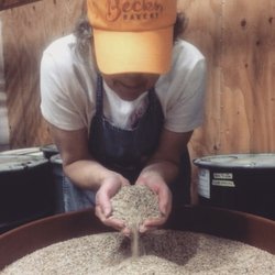 Beck's Bakery - Here's the owner Rhonda appreciating some grain fresh from the farmer!