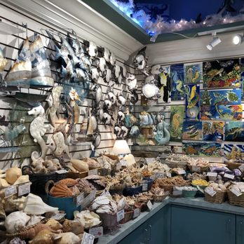 The Shell Cellar - Kids can touch most items in the store - Souvenir Shops Near Me - San Francisco, California The Shell Cellar - Kids can touch most items in the store - Souvenir Shops Near Me - San Francisco, California