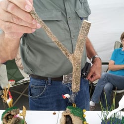 Key West Craft Show - Branch joint used for rooster and bird carvings