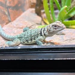 user provided Philadelphia Zoo photo