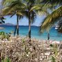 Photo of VIBE Charters