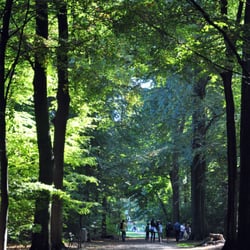 Park Den Brandt