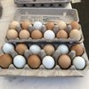 Sebastopol Farmer's Market gift card