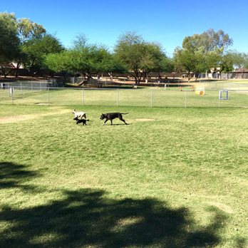 Shawnee Park - This view is from the front of the park. The agility course is up ahead. Anyone can hang out the agility course!!! - Dog Parks Near Me - Chandler, Arizona