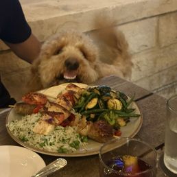 HUNGRY’S - RICE VILLAGE - Updated December 2025 - 1380 Photos & 1158 ...