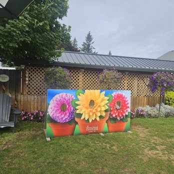 Swan Island Dahlias - Nurseries & Gardening Near Me - Canby, Oregon Swan Island Dahlias - Nurseries & Gardening Near Me - Canby, Oregon