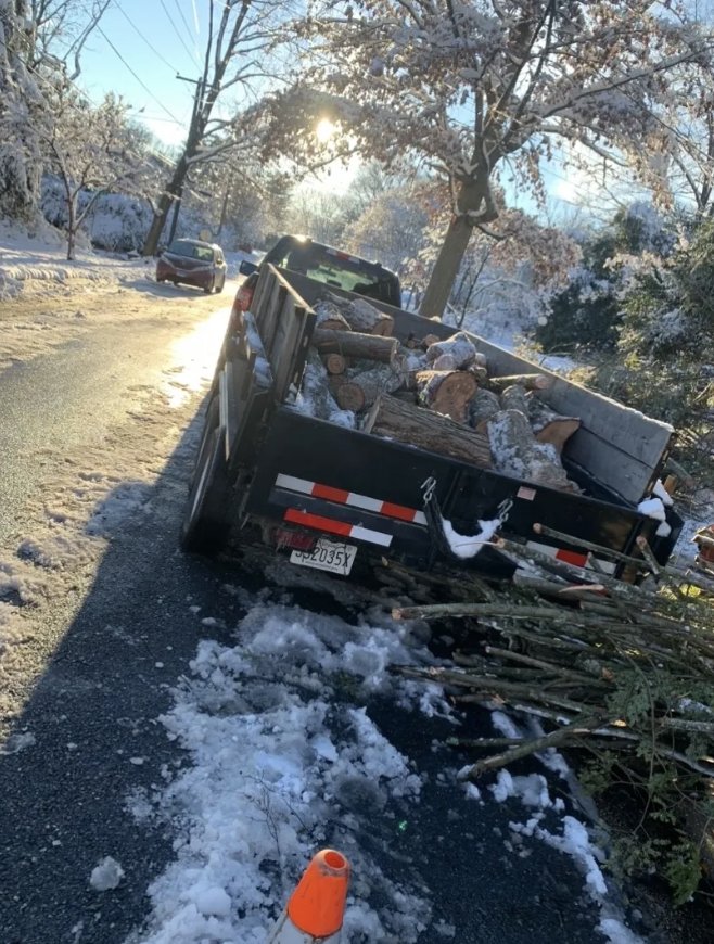 EVERGREEN TREE EXPERTS 14 Photos 4915 Harford Ave, Beltsville