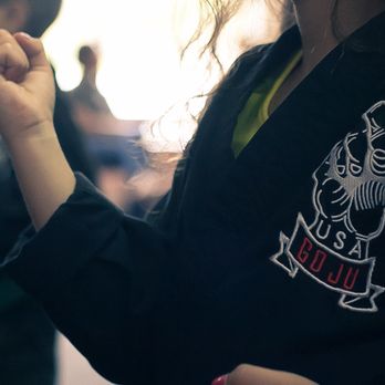Gainesville Dojo - Martial Arts Near Me - Gainesville, Florida Gainesville Dojo - Martial Arts Near Me - Gainesville, Florida