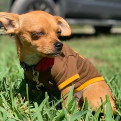 Our little girl enjoying the park.