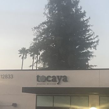 Tocaya Modern Mexican - Mexican Near Me - Studio City, California