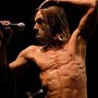 Photo of Iggy Pop