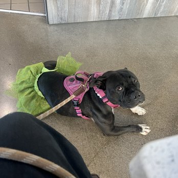 Ahipoki - Daisy Mae - Poke Near Me - Elk Grove, California