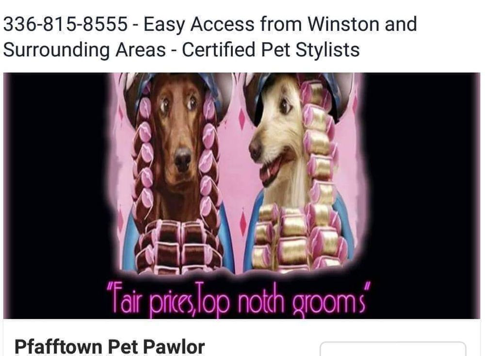 PFAFFTOWN PET PAWLOR Updated October 2024 10 Reviews 4691