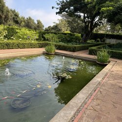 Bellosguardo - Garden Coy Pond