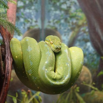 Toronto Zoo - Hello. - Zoos Near Me - Toronto, Ontario Toronto Zoo - Hello. - Zoos Near Me - Toronto, Ontario