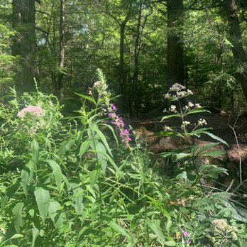 Cascade Falls Trail - Cascade Falls - Hiking Near Me - Old Orchard Beach, Maine