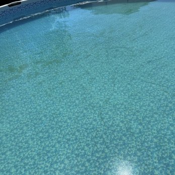 Cool Blue Services - Before - Pool Cleaners Near Me Cool Blue Services - Before - Pool Cleaners Near Me