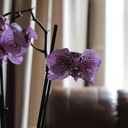Nola Bliss Massage - Newly renovated waiting room oasis.