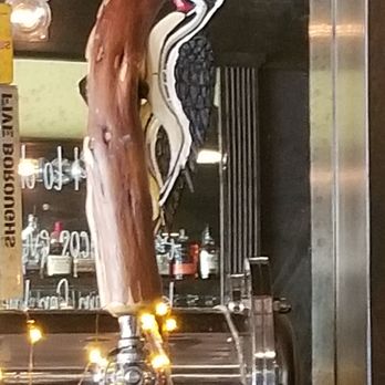 Sapsuckers - Assuming a Sapsucker - American Near Me - Huntington, New York