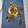 Photo of Il Rossellino