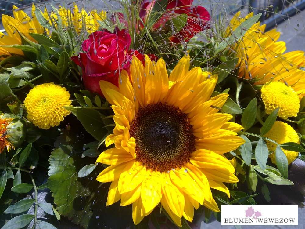 BLUMEN WEWEZOW JohannFischerStr. 3, Heidelberg, BadenWürttemberg