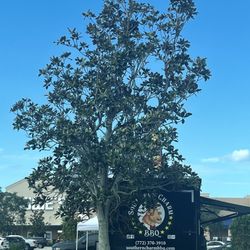 Southern Charm BBQ - BBQ Food Truck at Lowe's