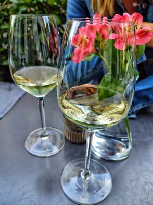 EAST GRAPE - Wein Events by null