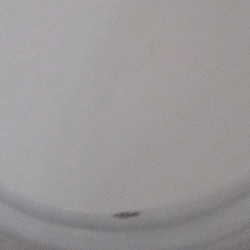 Groeslon Ty Mawr - Marks on lid of toilet. Toile also marks inside and backs up.