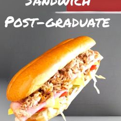 Thesis Sandwich Project
