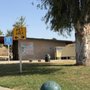 Photo of yucca rest area