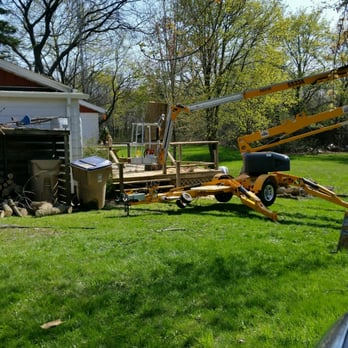 Tree Frog Service - Tree Services Near Me Tree Frog Service - Tree Services Near Me