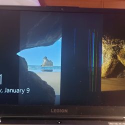 Double Dragon Computer Repair - Black bar in middle of screen obscured it