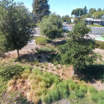 Newark Library - What a nice view! - Libraries Near Me - Newark, California