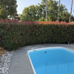 LS Landscaping & Tree Care - Before