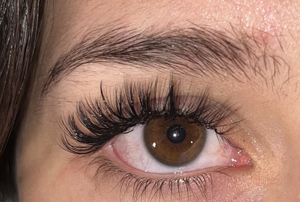 Full Lash Set - Full Lash Set Full Lash Set - Full Lash Set