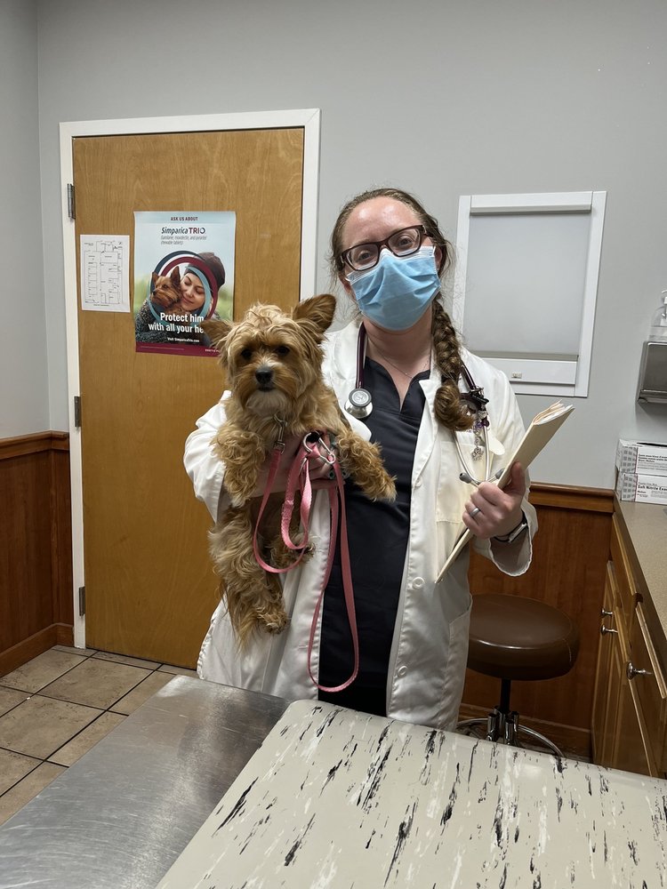 MOUNTAINSIDE VETERINARY HOSPITAL Updated September 2024 19 Reviews