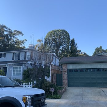 Cisnero's Tree Care - After - Tree Services Near Me Cisnero's Tree Care - After - Tree Services Near Me