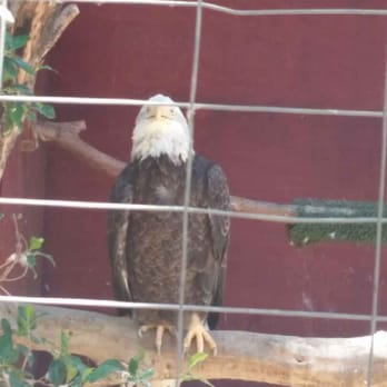 Wildlife Learning Center - Zoos Near Me - Sylmar, California Wildlife Learning Center - Zoos Near Me - Sylmar, California