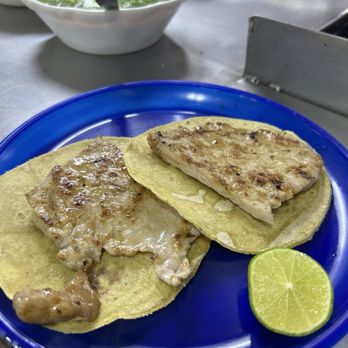 El Califa de León - Tacos Near Me - México, D.F., DIF El Califa de León - Tacos Near Me - México, D.F., DIF