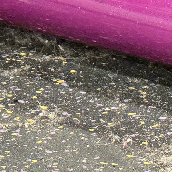 Planet Fitness - Same as all the other photos?? - Gyms Near Me - Nashua, New Hampshire Planet Fitness - Same as all the other photos?? - Gyms Near Me - Nashua, New Hampshire