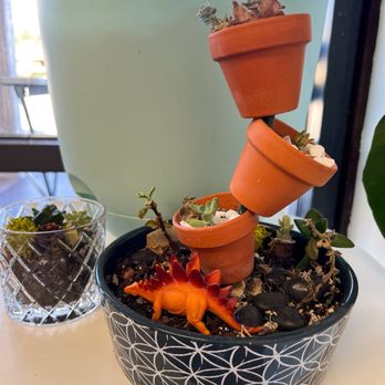 Tetherball Coffee - Herbivore Fossils - Coffee & Tea Near Me - Jacksonville, Florida