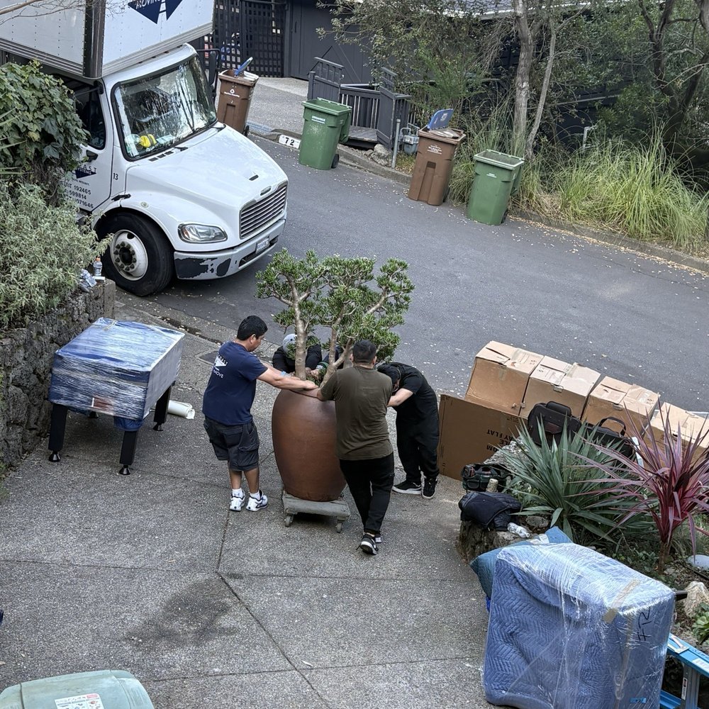 West Coast Moving Systems - 300 lb giant pot with ficus! Made it all the way from Marin to Santa Cruz!!! - Movers Near Me - Oakland, California West Coast Moving Systems - 300 lb giant pot with ficus! Made it all the way from Marin to Santa Cruz!!! - Movers Near Me - Oakland, California