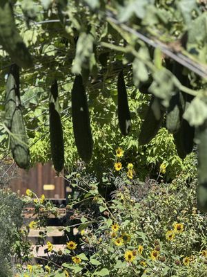 Chatfield State Park Campground by null