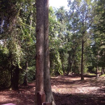 Lake Mills Park - Parks Near Me - Chuluota, Florida