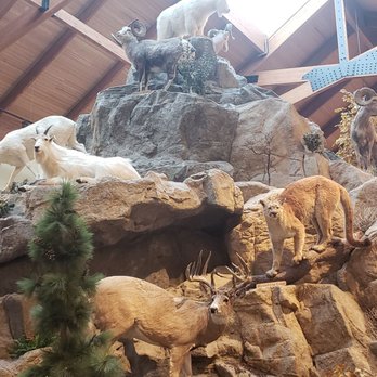 Cabela's - Outdoor Gear Near Me - Scarborough, Maine