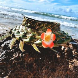Diamond Head Beach Park - Diamond Head Beach